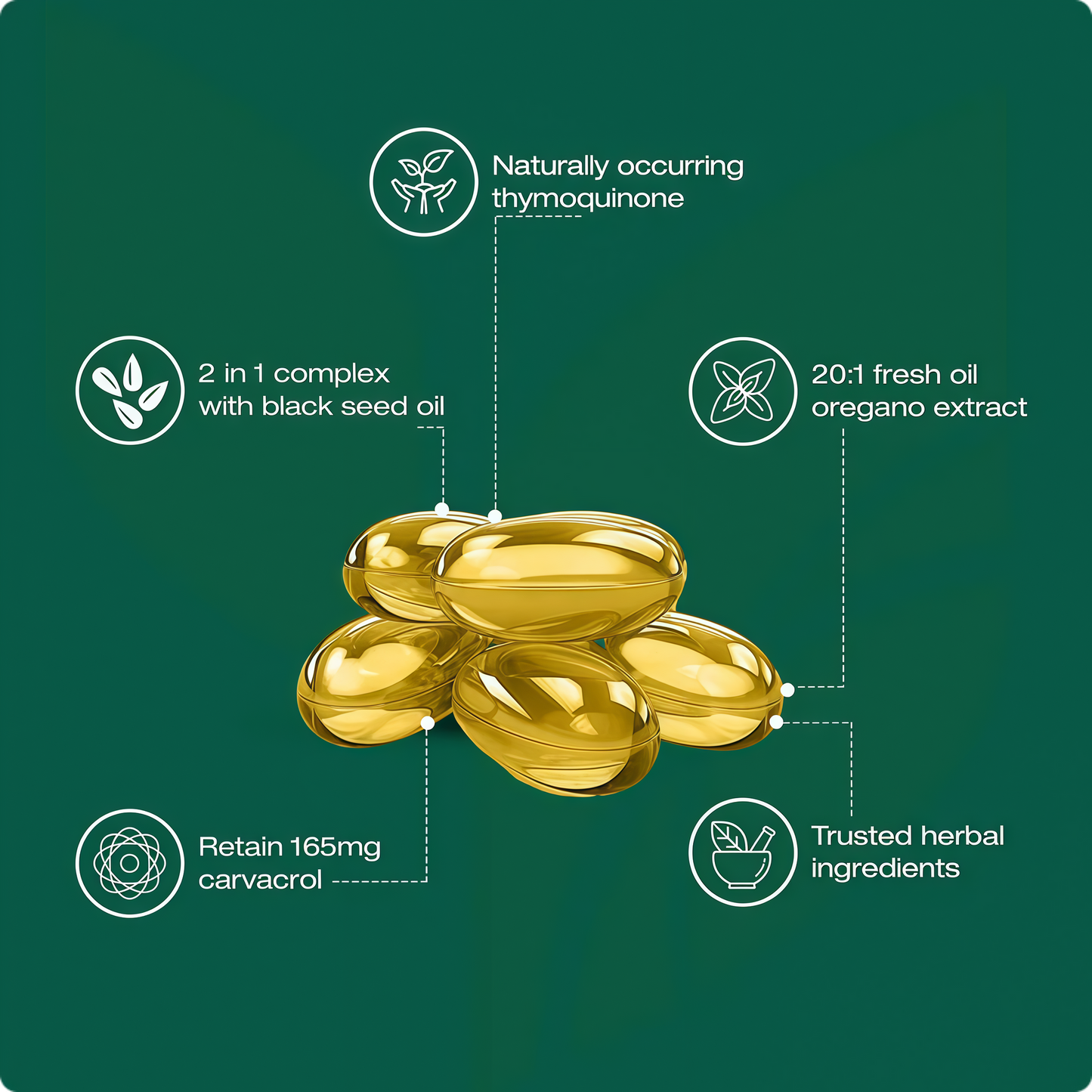 Daily Digestive Support A Calmer Gut Starts Here